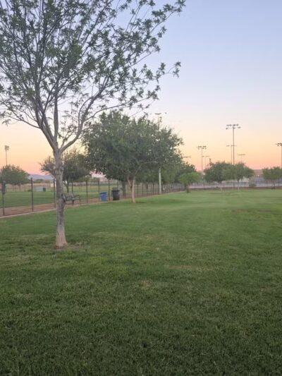 Cesar Chavez Dog Park - Laveen Village, AZ