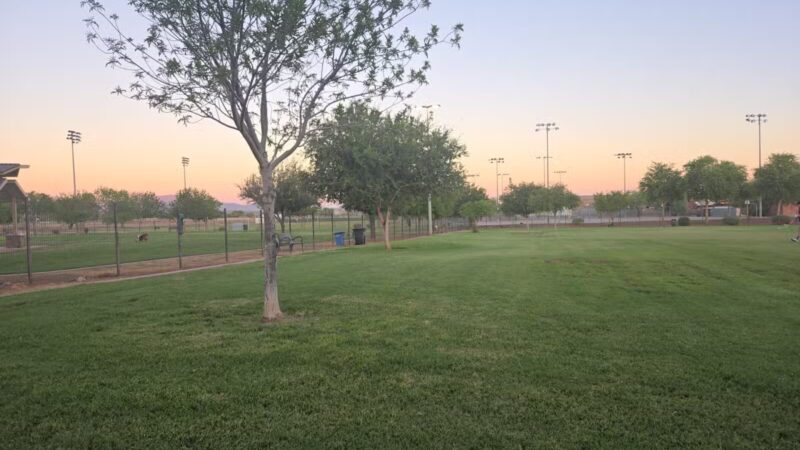 Cesar Chavez Dog Park - Laveen Village, AZ