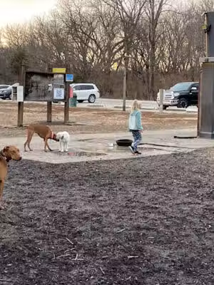 Mutt Run Off-Leash Dog Park - Lawrence, KS