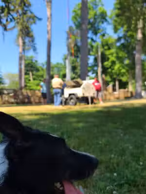 Lawrence Park - Lawrence,