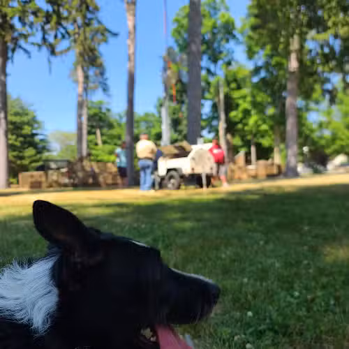 Lawrence Park - Lawrence,