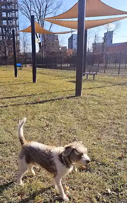 Hero Dog Park - Lawrence Township, NJ