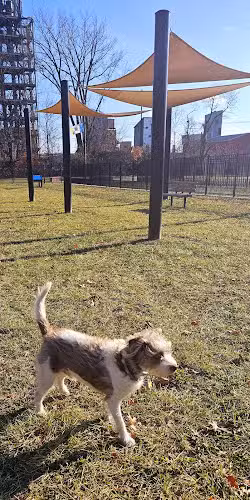 Hero Dog Park - Lawrence Township, NJ