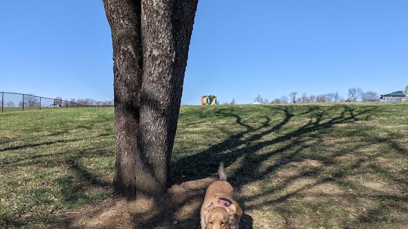 Hammond Creek Dog Park - Lawrenceburg, KY