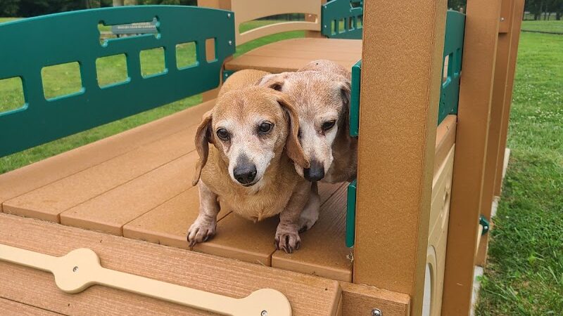 Hammond Creek Dog Park - Lawrenceburg, KY