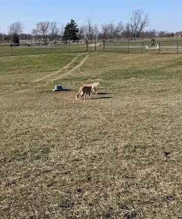 Hammond Creek Dog Park - Lawrenceburg, KY
