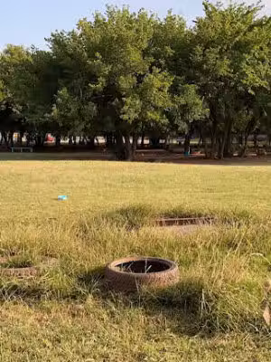 The Vito Baxter Puppy Promenade - Lawton, OK