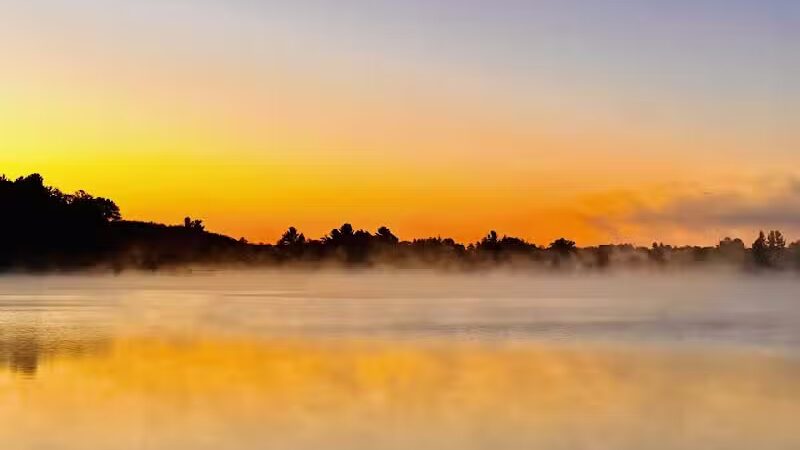 Rose Lake County Park - Le Roy,