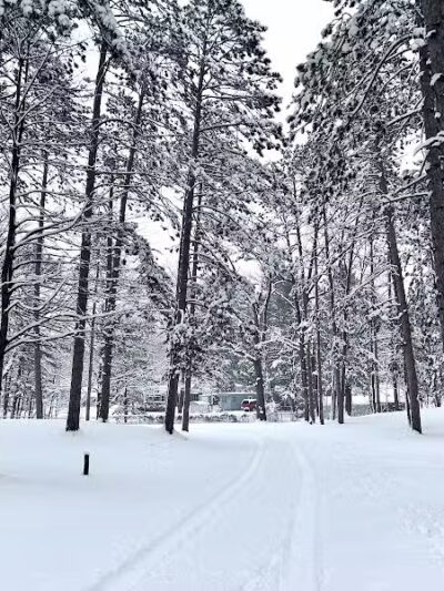 Rose Lake County Park - Le Roy,