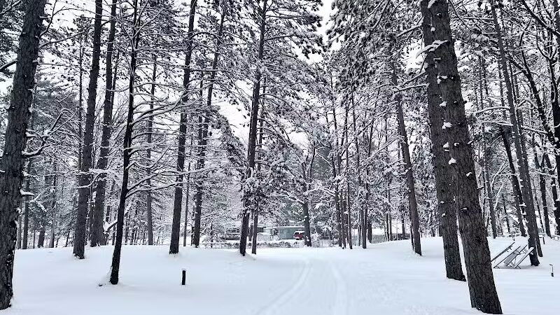 Rose Lake County Park - Le Roy,