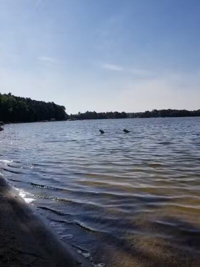 Rose Lake County Park - Le Roy,