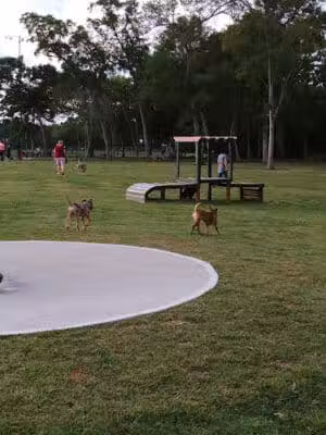 Bark Park at Countryside (League City Dog Park) - League City, TX