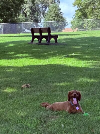 Waggin' Tails Dog Park - Leavenworth, KS