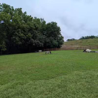 Leawoof Dog Park - Leawood, KS