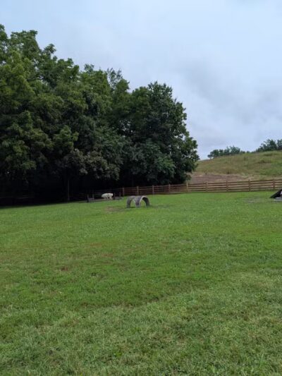 Leawoof Dog Park - Leawood, KS