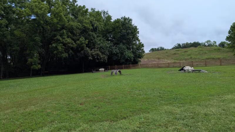 Leawoof Dog Park - Leawood, KS