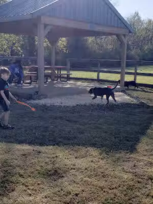 Dog Park - Lebanon, TN