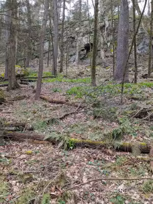 Abbey Court Park - Lee, MA