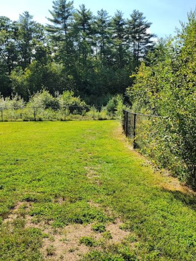 Friend Lee Pets Dog Park - Lee, NH