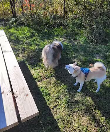 Friend Lee Pets Dog Park - Lee, NH