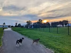 Dogwood Park - Lee's Summit, MO