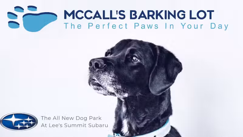 McCall's Barking Lot - Lee's Summit, MO