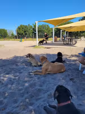 Leesburg Dog Park - Leesburg, FL