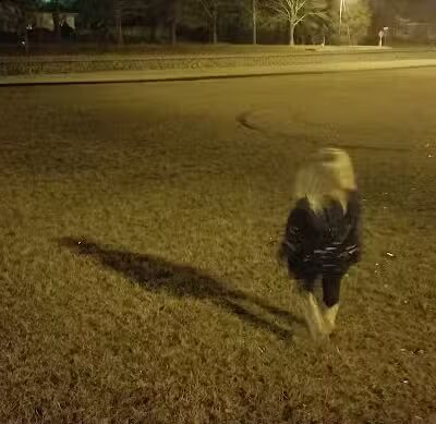 Summit Park And Playground - Leesville, SC