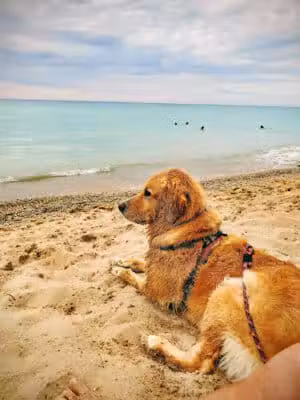 Reynolds Street Beach - Leland,