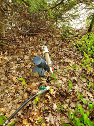 Nedows Bay - Leland,