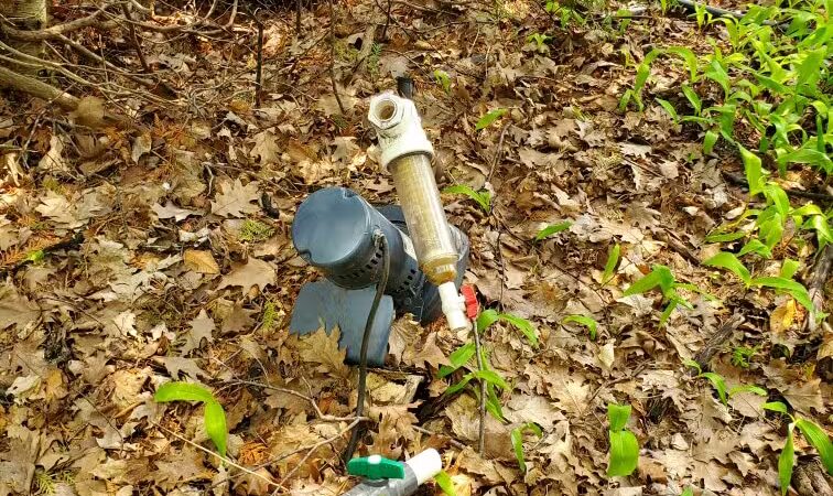 Nedows Bay - Leland,