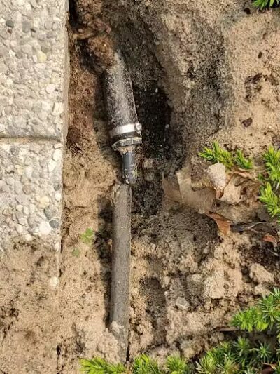 Nedows Bay - Leland,