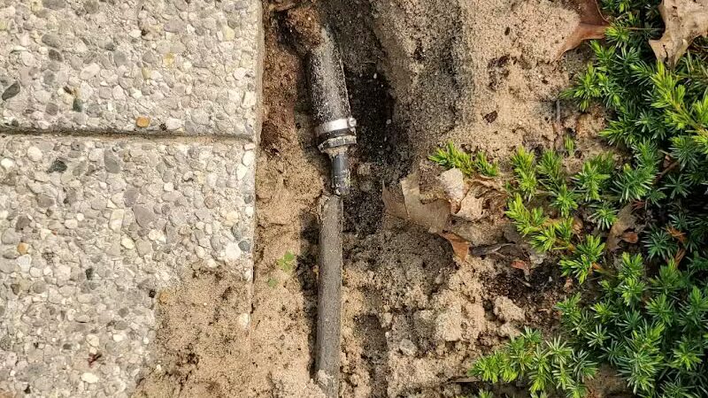 Nedows Bay - Leland,