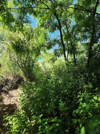North Street Beach - Leland,