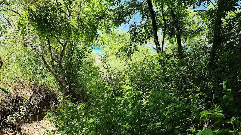 North Street Beach - Leland,