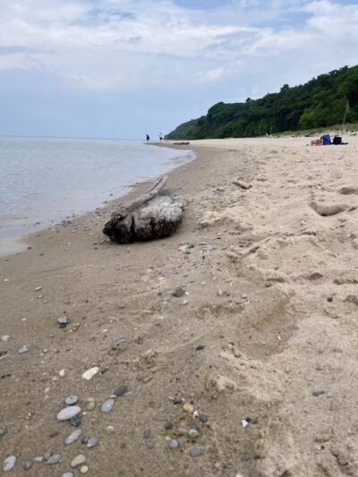 North Street Beach - Leland,