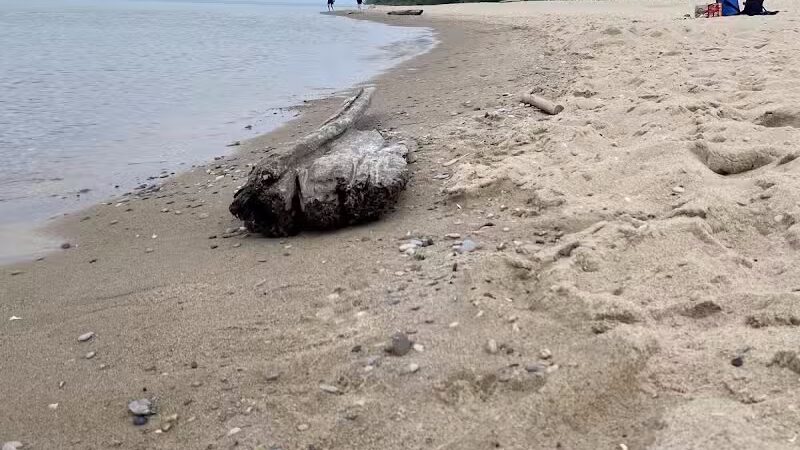 North Street Beach - Leland,