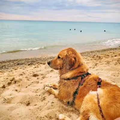 Reynolds Street Beach - Leland,