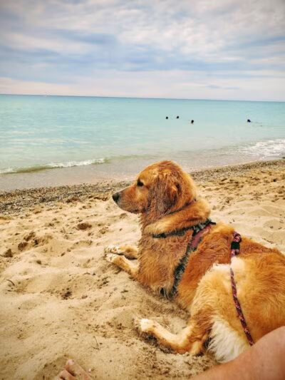 Reynolds Street Beach - Leland,