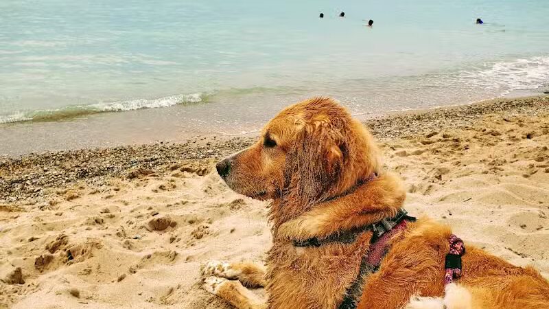 Reynolds Street Beach - Leland,