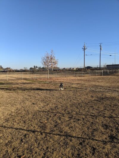 Waggin' Tails Dog Park - Lemoore, CA