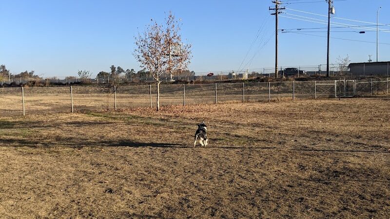 Waggin' Tails Dog Park - Lemoore, CA