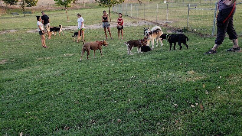 Waggin' Tails Dog Park - Lemoore, CA