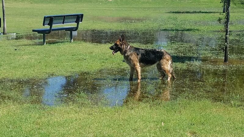 Waggin' Tails Dog Park - Lemoore, CA