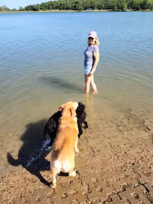 Shawnee Mission Park Dog Beach - Lenexa, KS