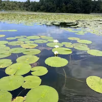 Addison Oaks County Park - Leonard, MI