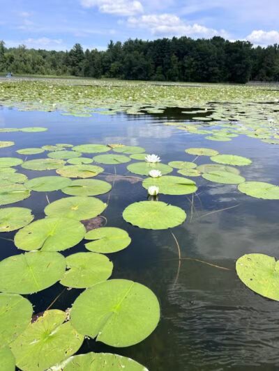 Addison Oaks County Park - Leonard, MI