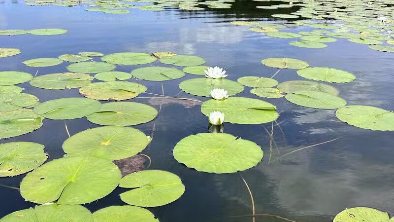 Addison Oaks County Park - Leonard, MI