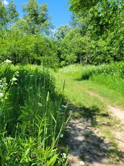Addison Oaks County Park East - Leonard, MI