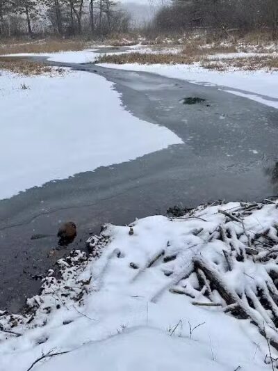 Addison Township Watershed Preserve - Leonard, MI